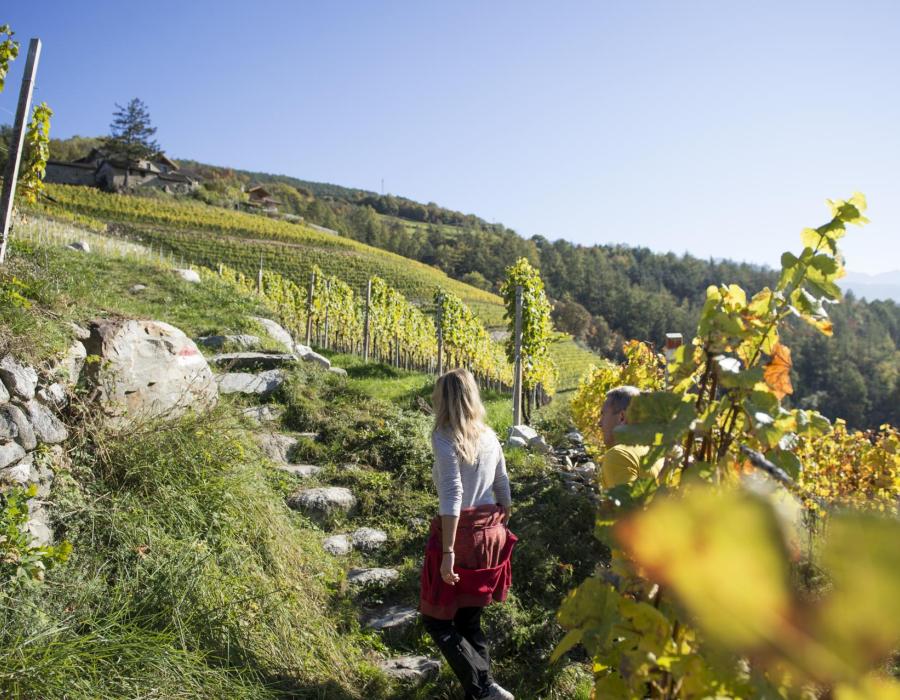 brixen.org-wandern-herbst-2-filz