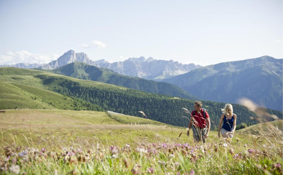 gitsch-jochtal-sommer-rodenecker-alm-a-filz-7672