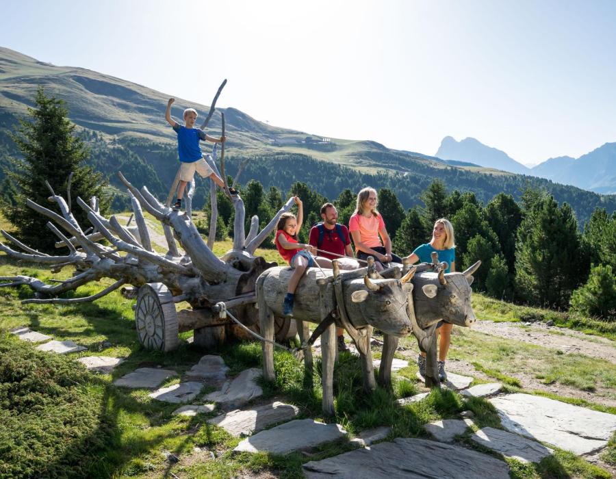 plose-sommer-woodywalk-foto-philipp-santifaller-13