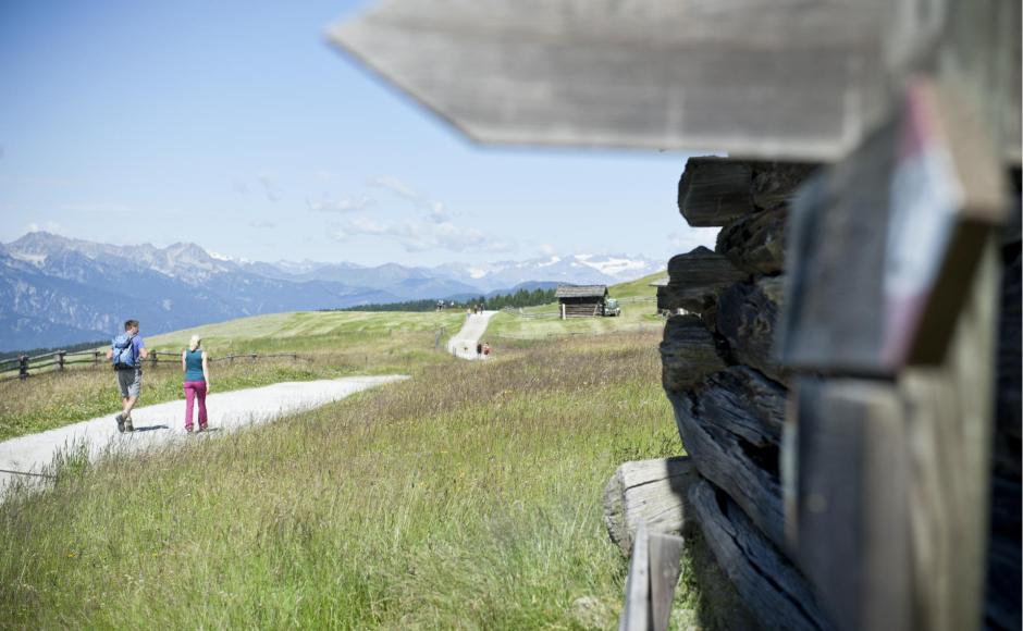 gitsch-jochtal-sommer-rodenecker-alm-a-filz-6832