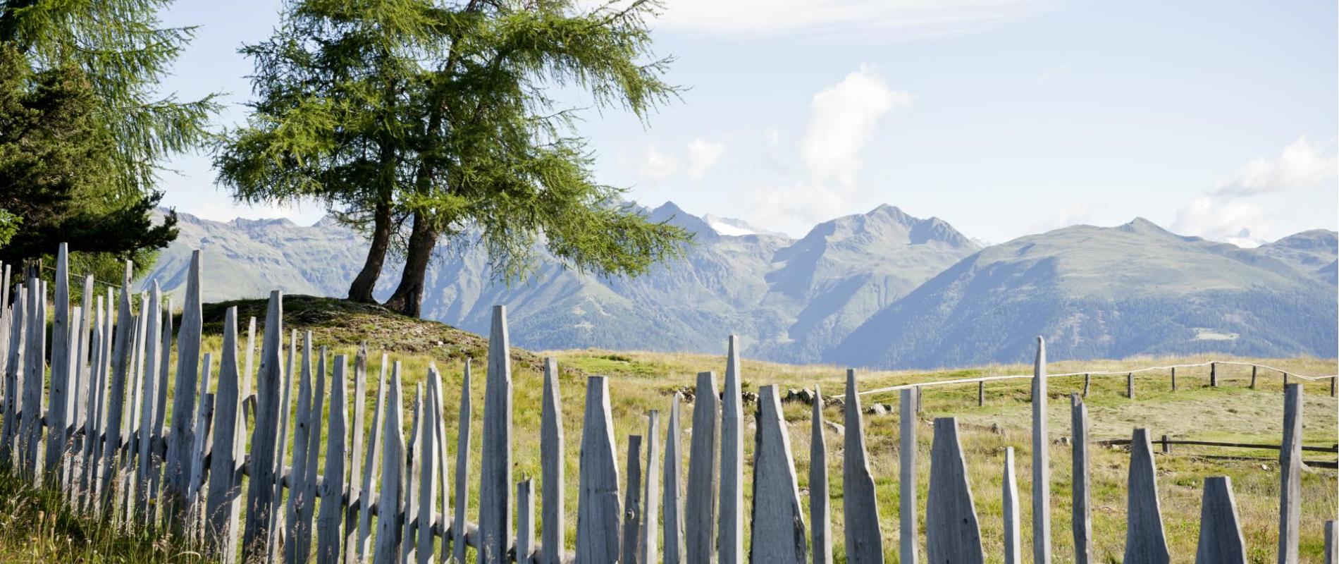 gitsch-jochtal-sommer-rodenecker-alm-a-filz-6057