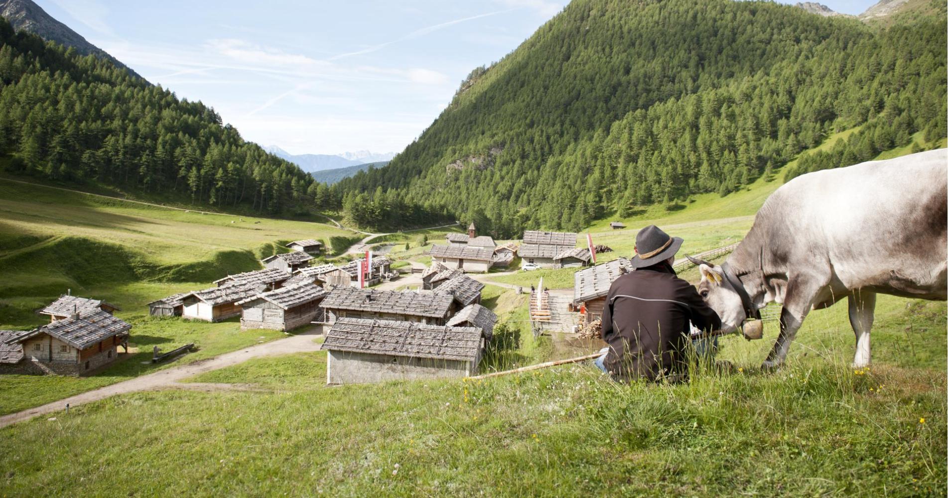 wandern-fane-alm-bsc5115