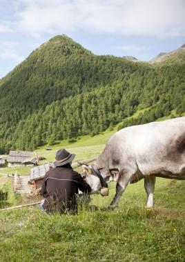 wandern-fane-alm-bsc5115